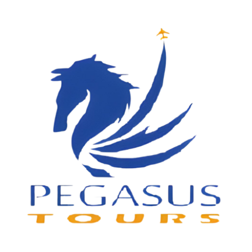 Pegassus travel